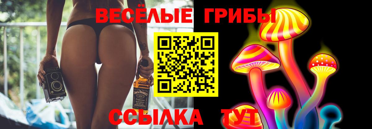 Галлюциногенные грибы прущие грибы Искитим