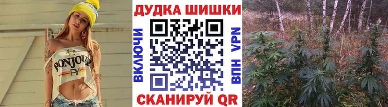 где купить   даркнет формула  Конопля гибрид  Искитим  KRAKEN ссылка 